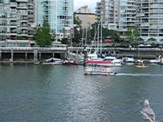 aquabus in False Creek