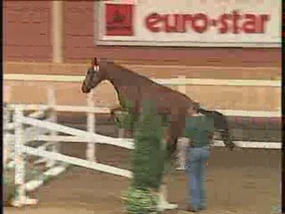 Jackpot de Narcimont