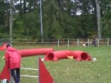 OPEN Concours agility sarreguemines Dixie Chanie Azur