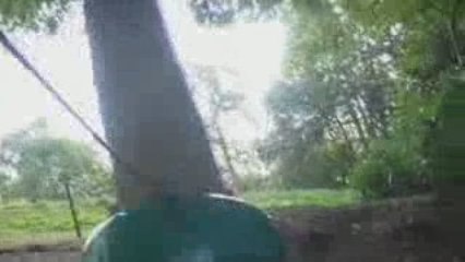 D'arbre en arbre