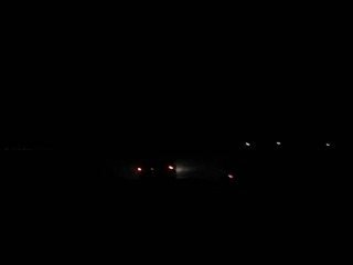 21 Noiembrie 2008 017