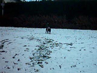 VARGAS AU SQUARE 1 (HIVER 2005)
