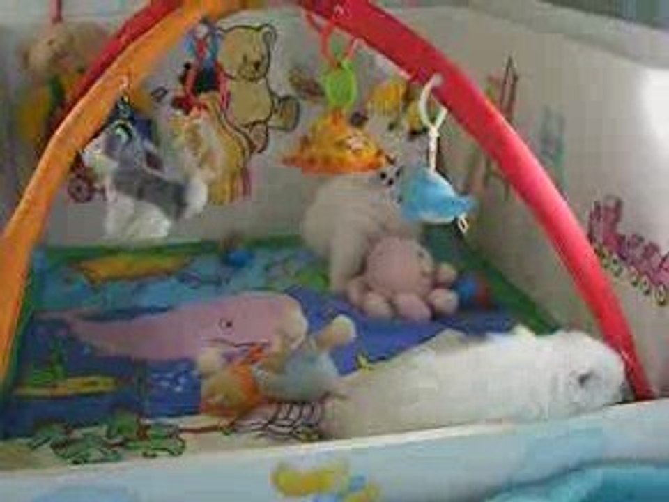 Eva et Eiyù San des Légendes de Yuki Onna