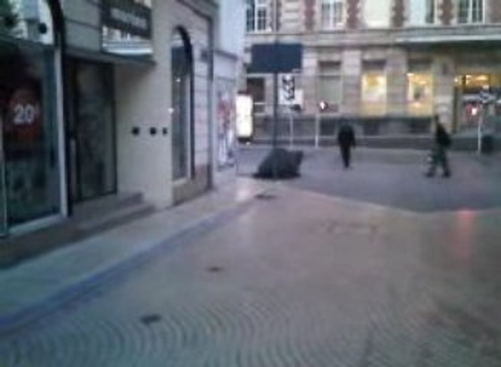 rats à Arras