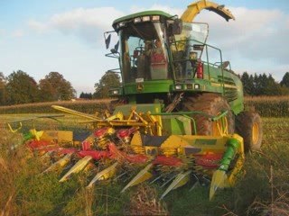 Evrard à l'ensilage de maïs 09