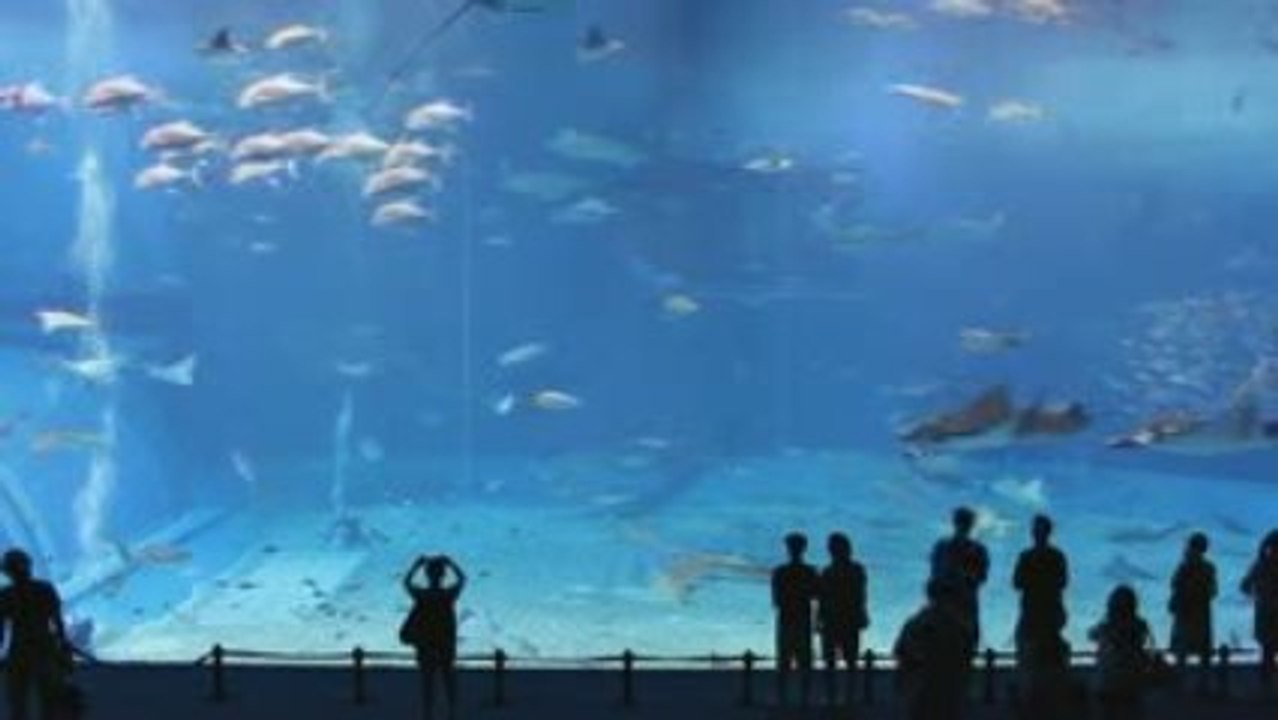 le 2ème plus grand aquarium au monde