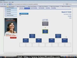 How TVI Express Traveller Board Works