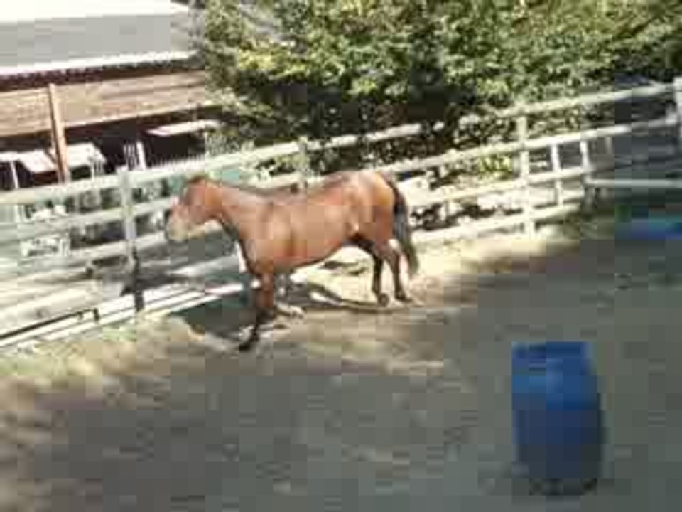 Sibelle saut 3