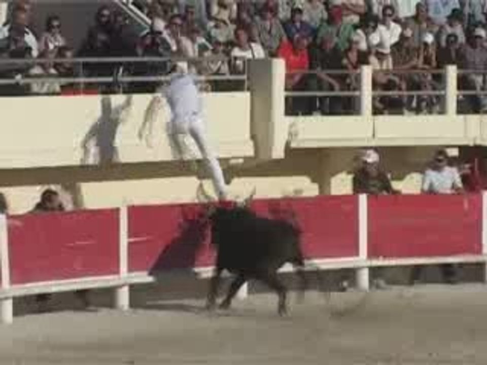 Course Camarguaise: Finale Trophée de l'Avenir Espoir