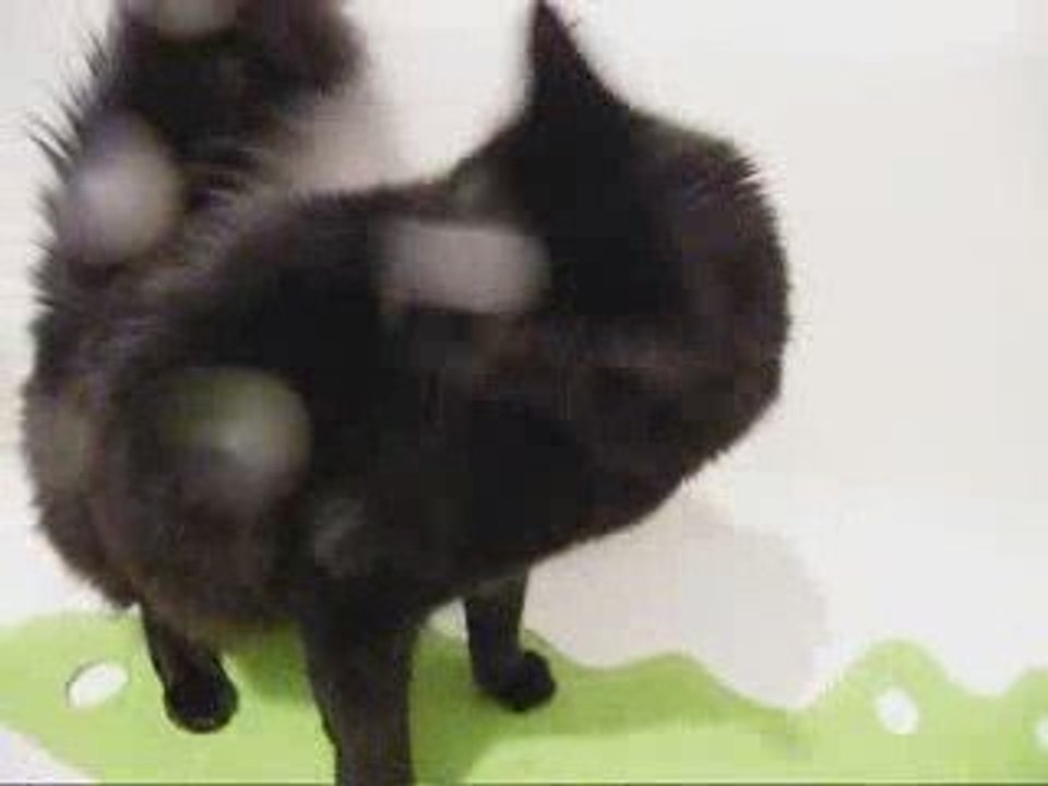 Zoé prend une douche....