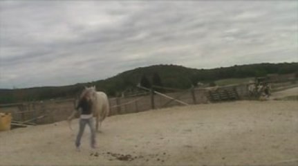 romy en travail en longe