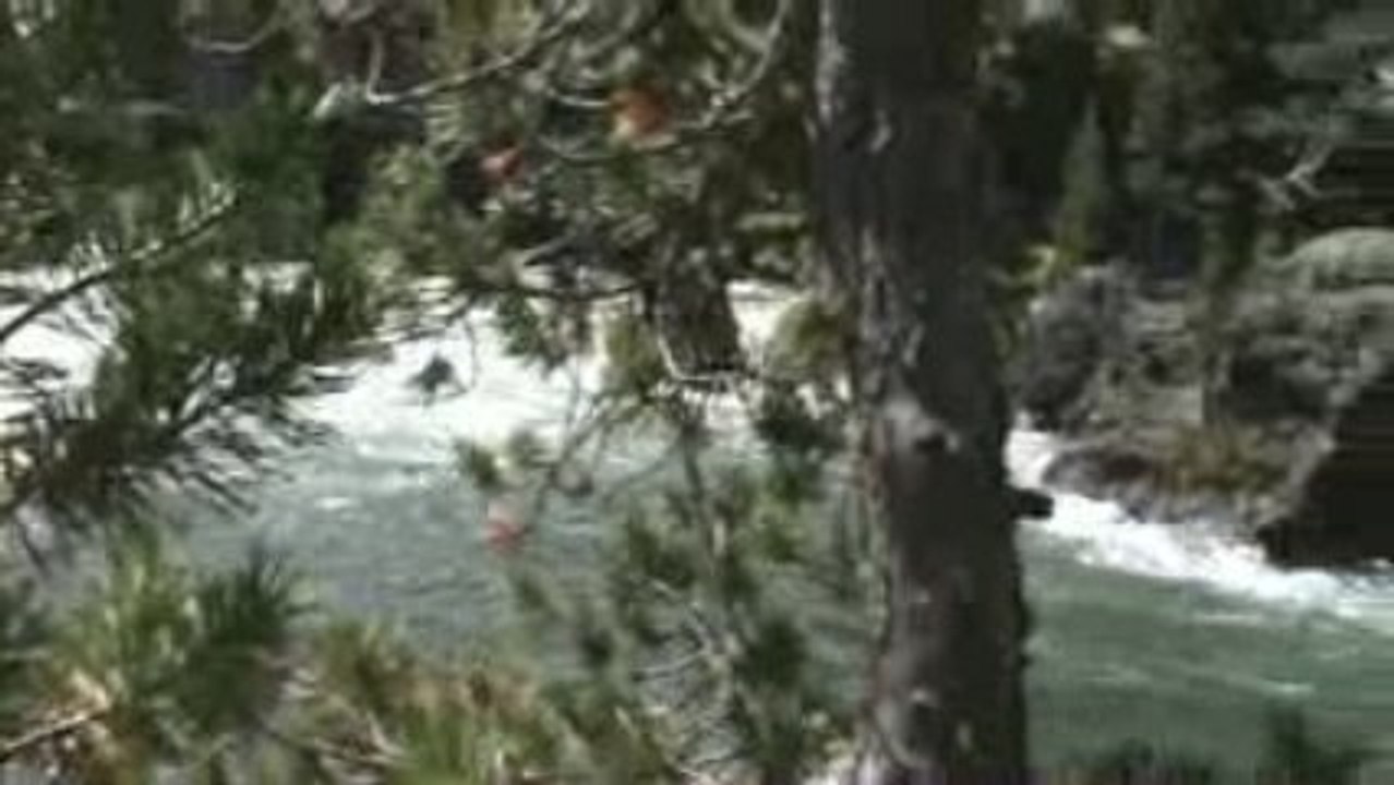 Voyage Yellowstone Jour j+4 (28)