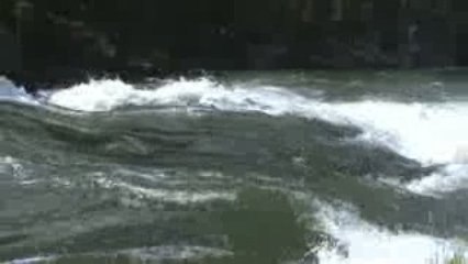 Voyage Yellowstone Jour j+4 (29)