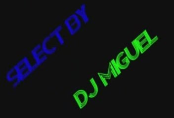 Lady gaga vs Madonna vs Pitbull Selected by DJ MiGueL
