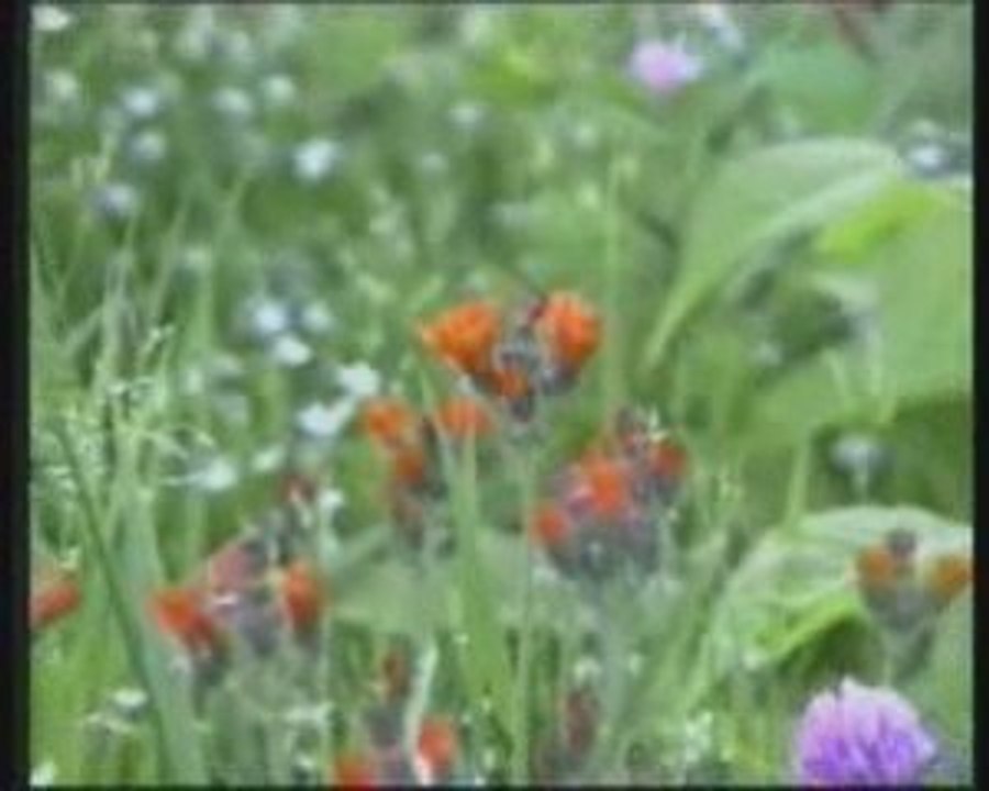 2/4 Les Miracles Scientifiques Du Coran