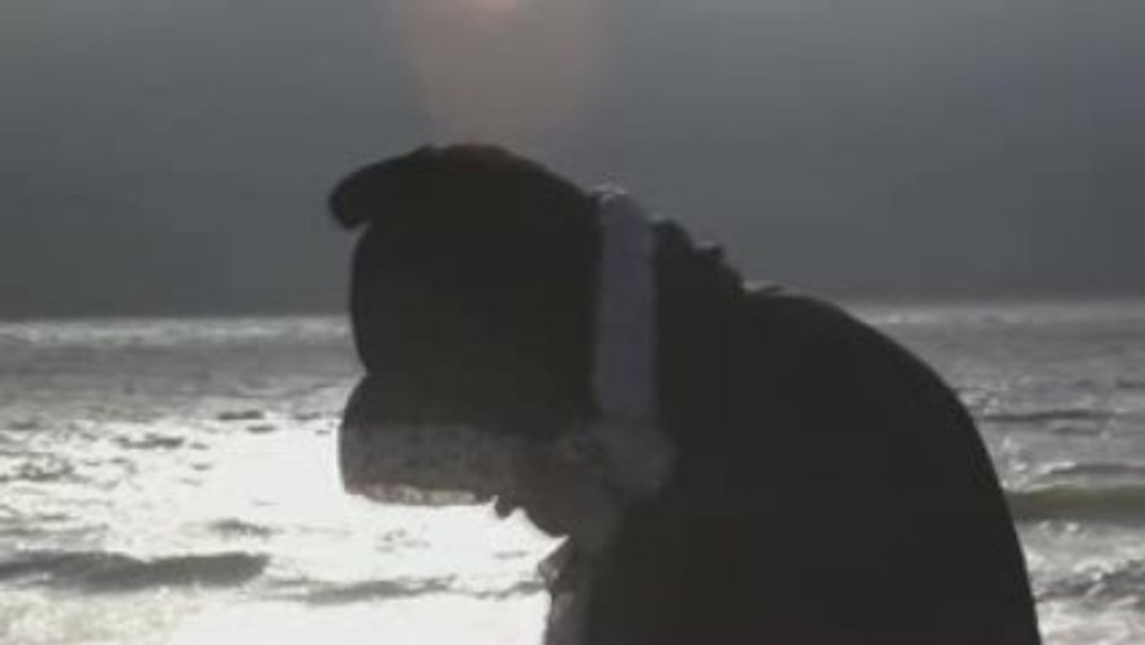 Killah Priest - The 7 Crowns of God / NEW