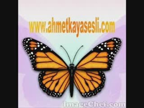 Keça Kurdan aynur doğan - WwW.AhmetKayaSesli.CoM AMED-SOZDAR