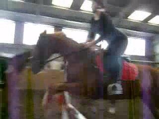 Fleur et moi, obstacles