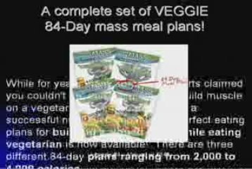 No Nonsense Muscle Building Program - Deluxe Gold (Musical)