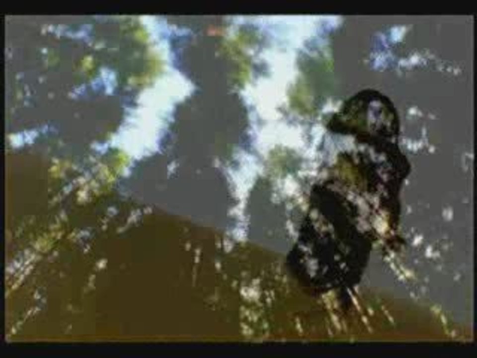 BEN SENİ SEVİYORDUM SEN BİLMİYORDUN - İCLAL AYDIN