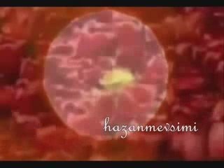 Sultanım - Bestami Korkmaz