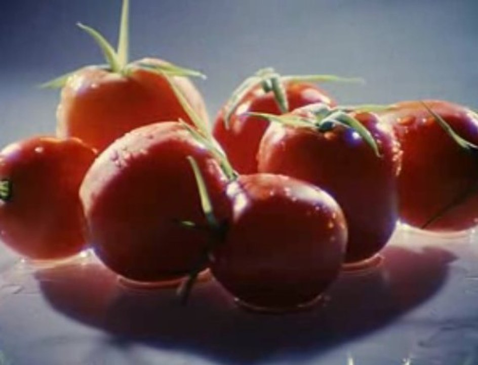 Introduction Court métrage "ile aux fleurs"