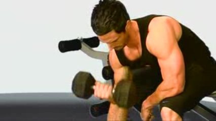 Concentration Curls Demonstration Video - Maximuscle