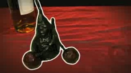 Duaux 12/11/09 au Baiser salé