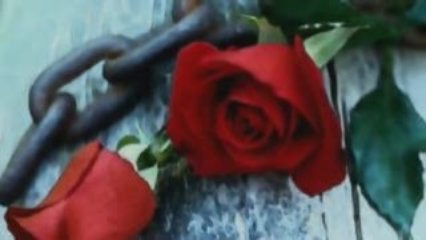 Hasan Dag - Canim Yolunda Olmek Istedi