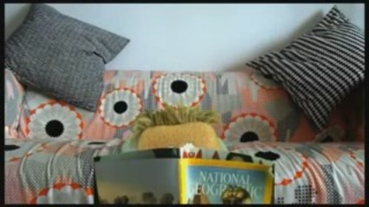 The Chick and the Chuck