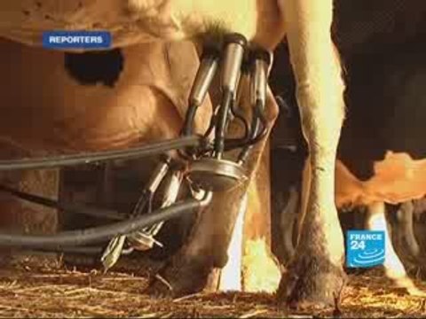 Life turns sour for French dairy farmers