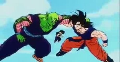 Goku. Piccolo & Gohan Training