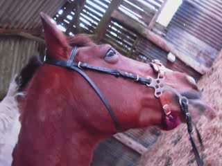 Hirondelle encore des progrès =D.