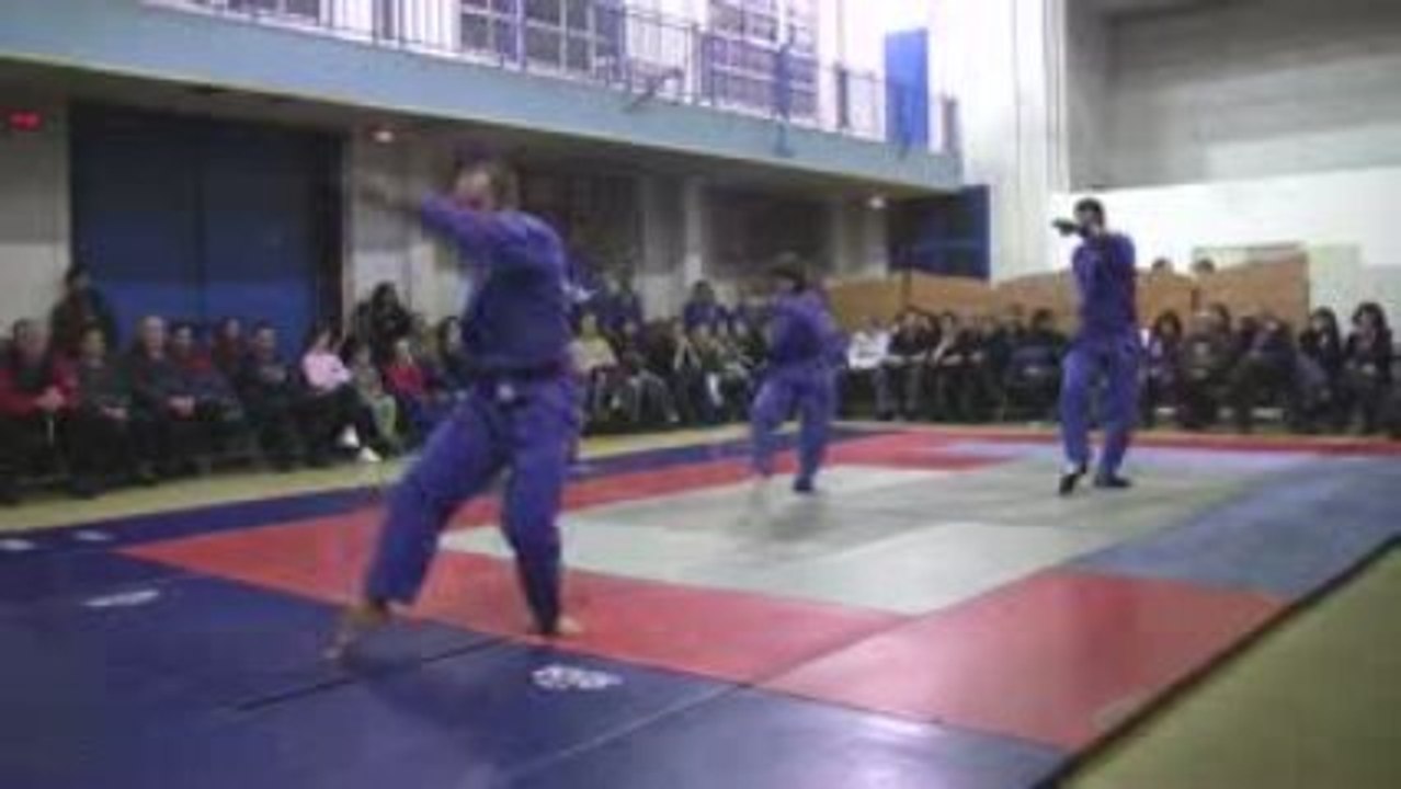 Vovinam Viet Vo Dao Les Lilas - arts martiaux vietnamiens