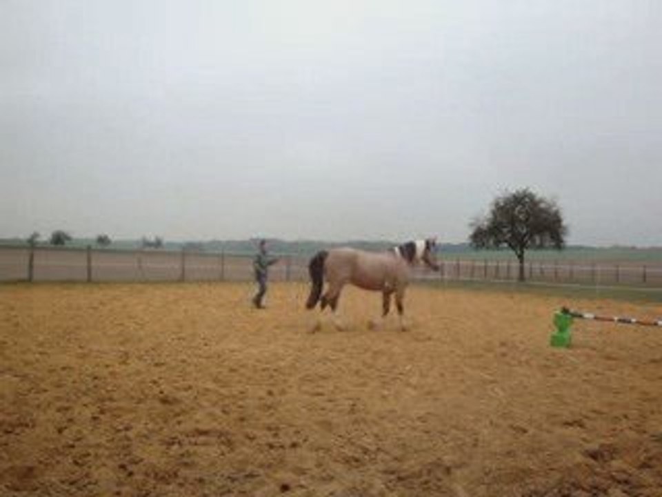 Cercles en liberté aux 3 allures