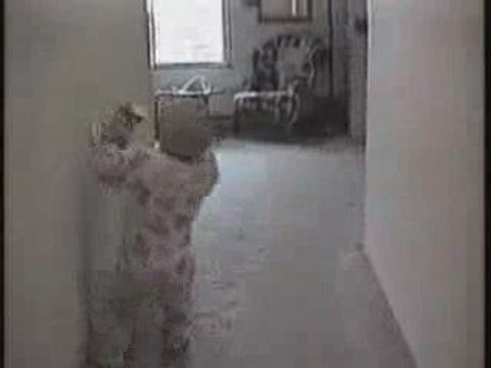 Essayez de ne pas rire !