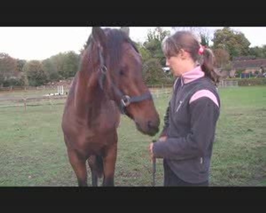 Fundador & Krak October 2009