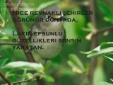 www.1siir.com aziz istanbul münir nurettin selçuk