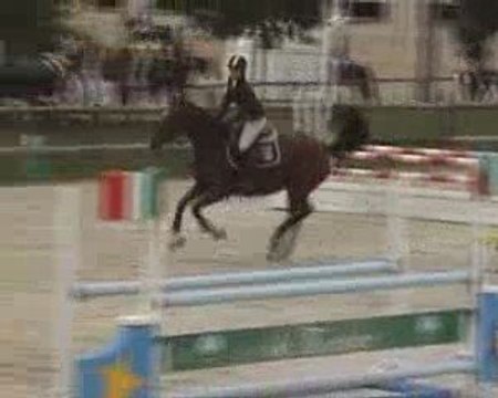 Concours Brienne le Chateau 13 . 10 . 09