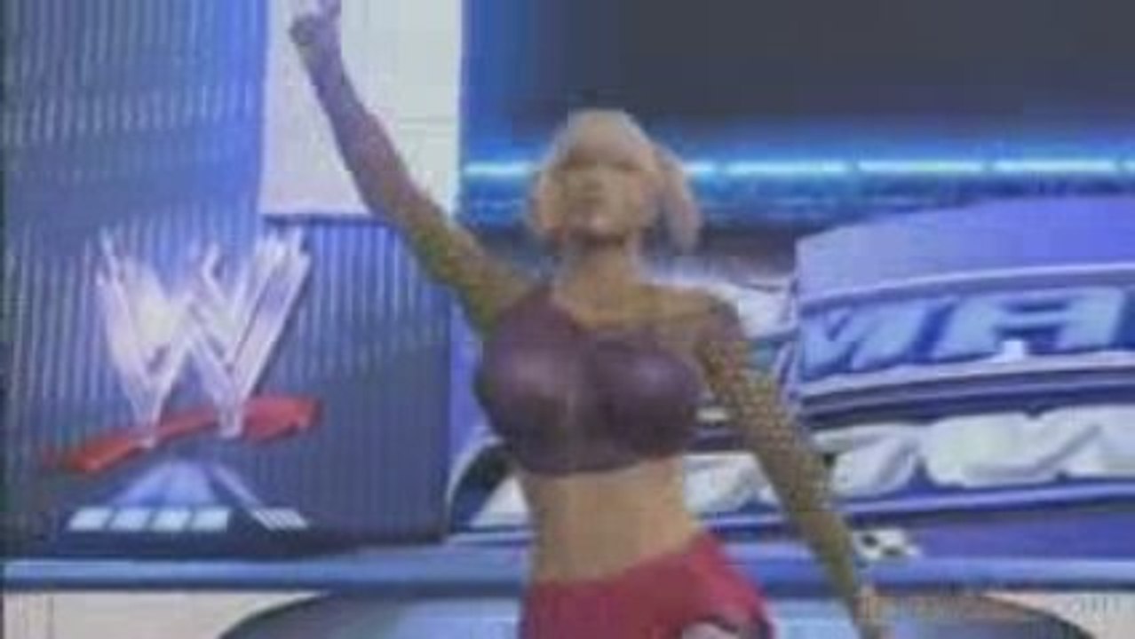 Reportage : Smackdown vs Raw 2010