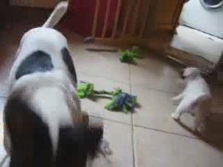 "Fait pas beau!!" on joue à la maison