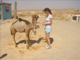 2007 Vacances Tunisie