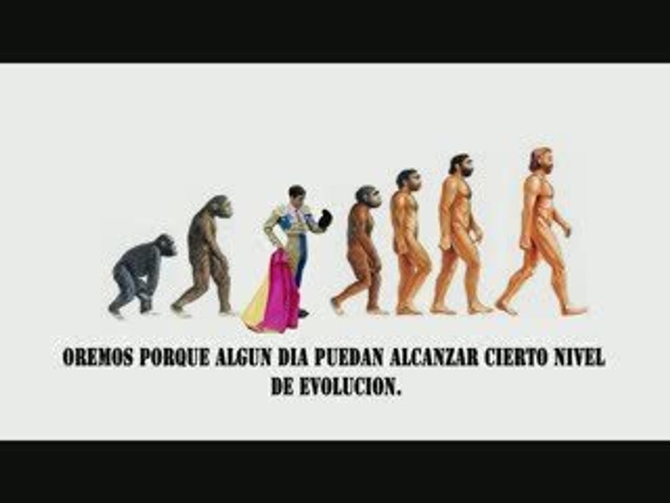 NO A LAS CORRIDAS DE TOROS / PERCIBI2 2009