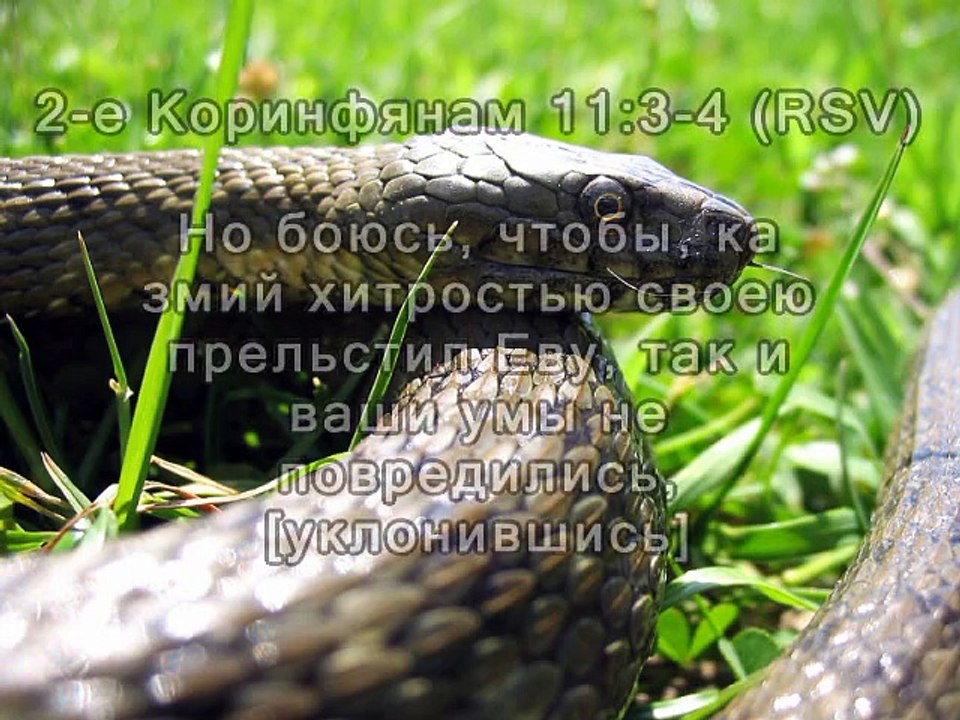 Защитите правду