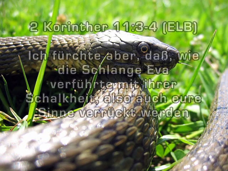 Schützen Sie Die Wahrheit