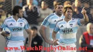 watch rugby heineken cup streaming
