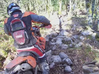 Creuse 2009-Le pays de Sanglier