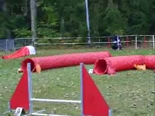 OPEN Fée concours sgms