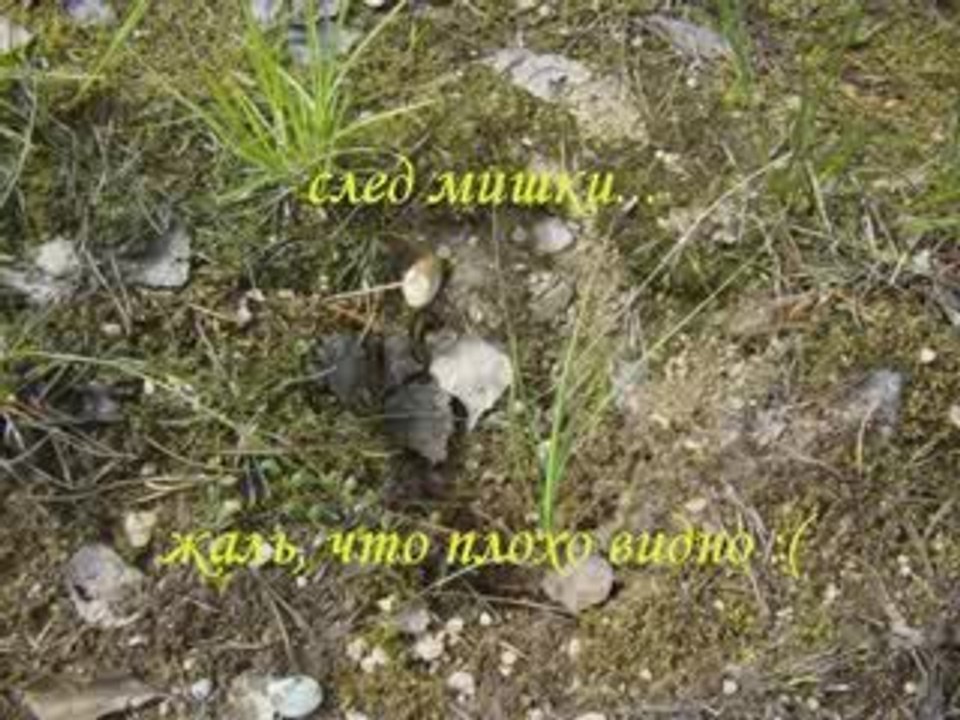 Продолжение....