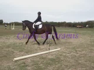 Dressage 11 Octobre 2009